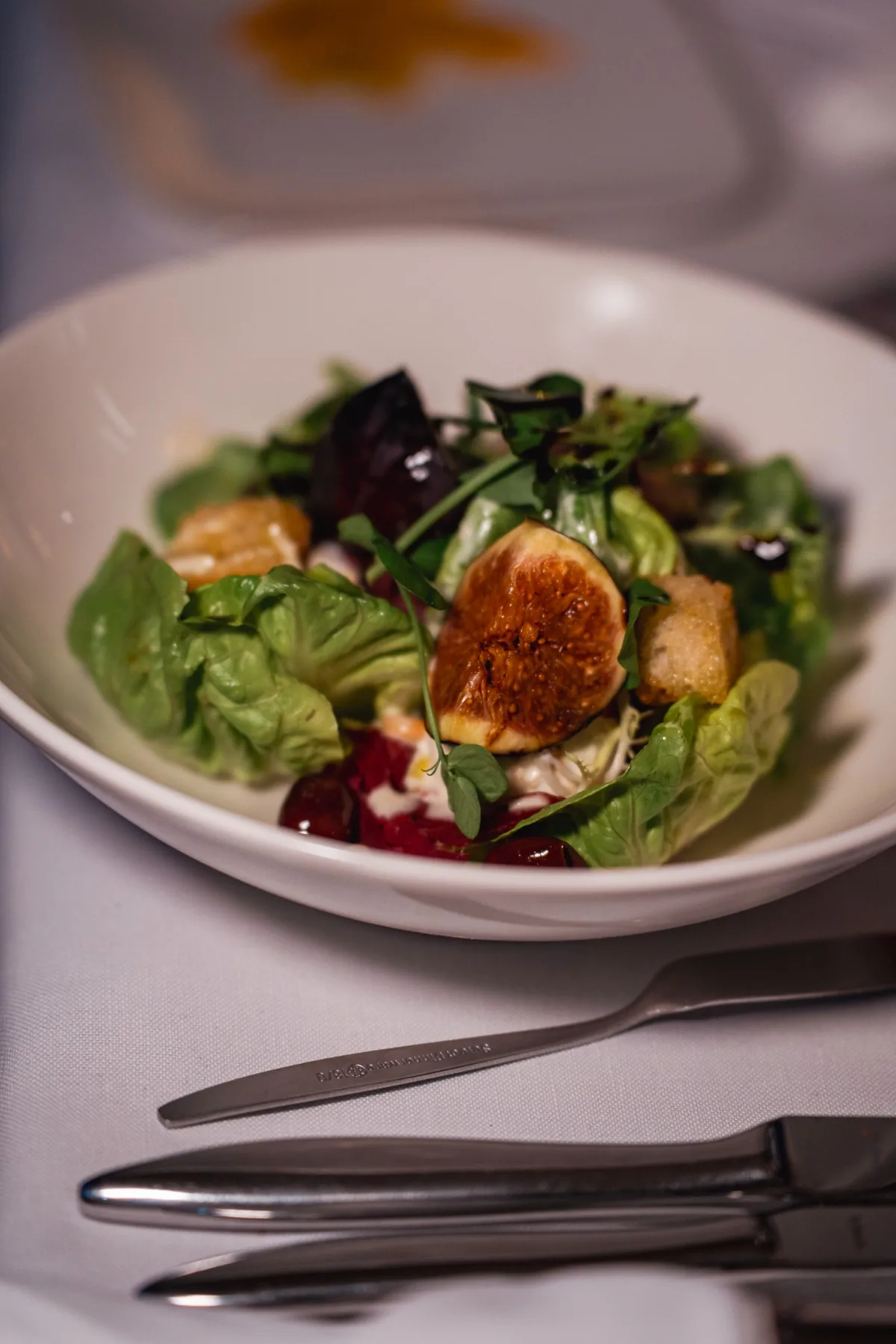 Private dinner cruise Amsterdam aboard historic salon boat Energie